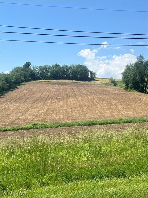 Vacant Land For Sale - Blacksnake Hill Road<br/> Dover, OH 44622