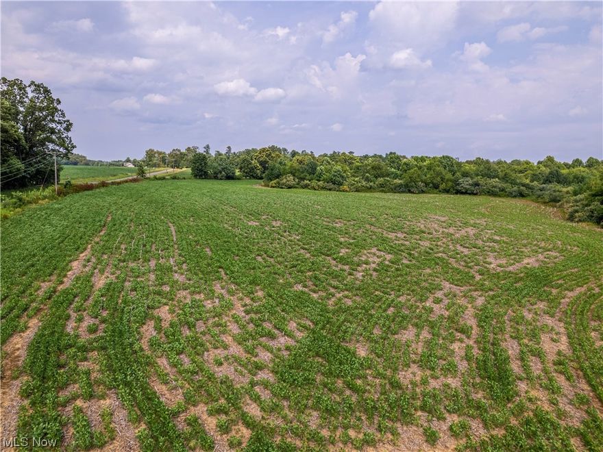 Auction Date is Saturday, October 7th, 2023 at 11:00 AM. Parcel 21: 31 acres. Mostly wooded with open field. 150’ Frontage on Paige Road. Nestled just east of Mt. Vernon in the serene Knox County, this sprawling 375-acre farm isn't just a parcel of land; it's a testament to time, carrying with it a rich legacy that has spanned three generations and almost a century. Every inch of this property bears witness to family stories, tireless work, and a commitment to land stewardship. Its strategic location, with a generous 1.8 miles of road frontage, offers unparalleled access. Beyond its own natural wonders, the farm is a stone’s throw from the educational hubs of Gambier and Mt. Vernon, making it a unique blend of rural charm and accessibility to town life. Moreover, the proximity to the Columbus Metropolis ensures urban amenities are never far away. Approximately 140 acres of this land has been dedicated to the cultivation of wheat, corn, and soybeans over the years. There are fertilizer records, soil test and yield reports available. Beyond its agricultural prospects, nature enthusiasts will delight in the wooded expanses that make up the balance of the property. These woods are not just picturesque but also serve as a sanctuary for an impressive deer herd and other wildlife, providing ample opportunities for nature observation or an oasis for the avid hunter.