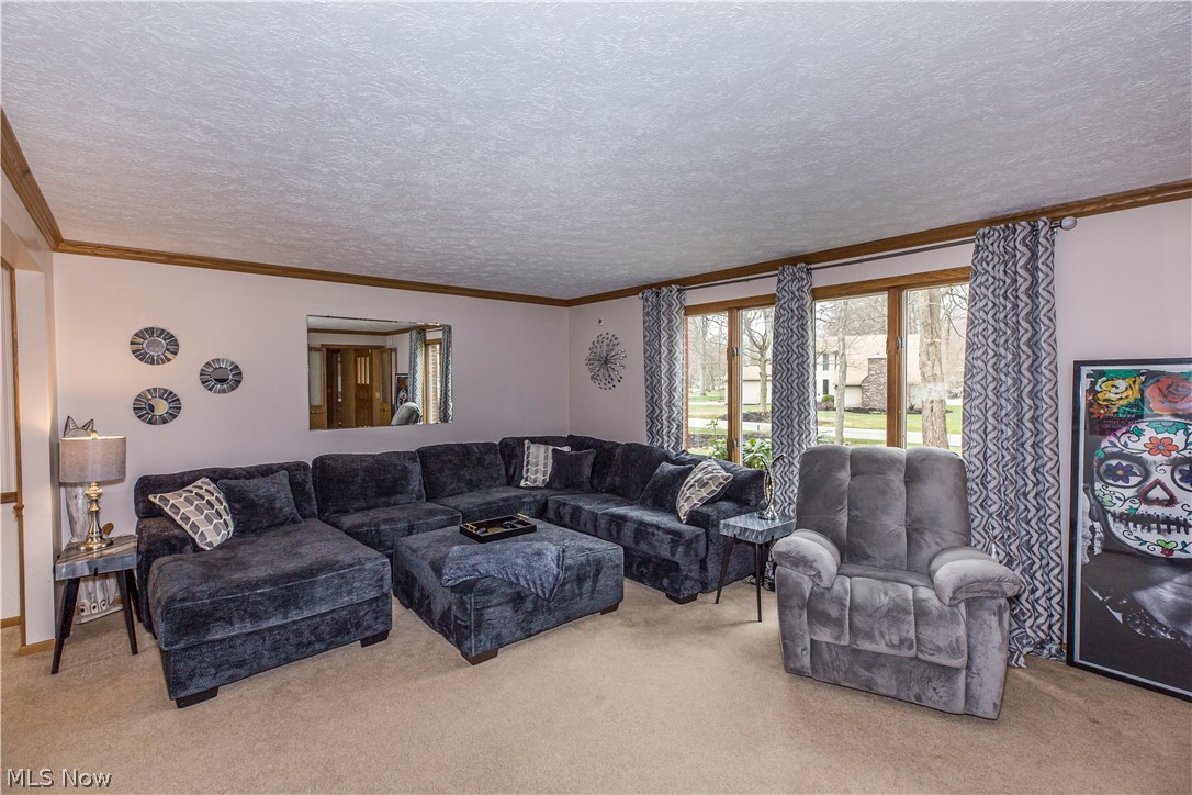 Wood Moor Allotment 03 - Residential