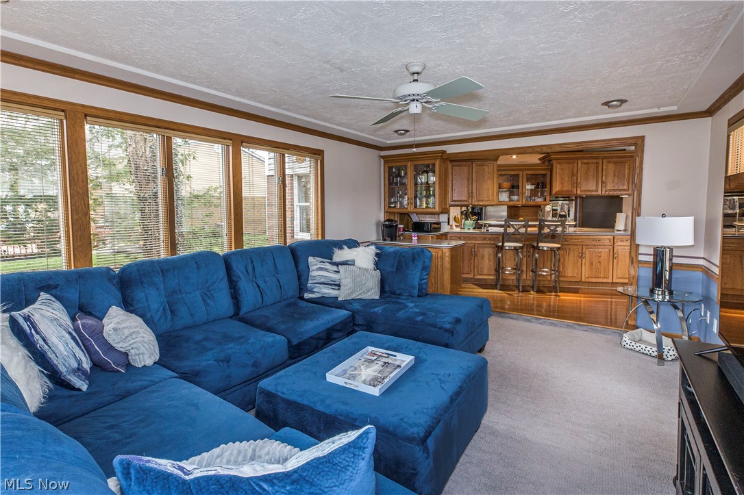 Wood Moor Allotment 03 - Residential