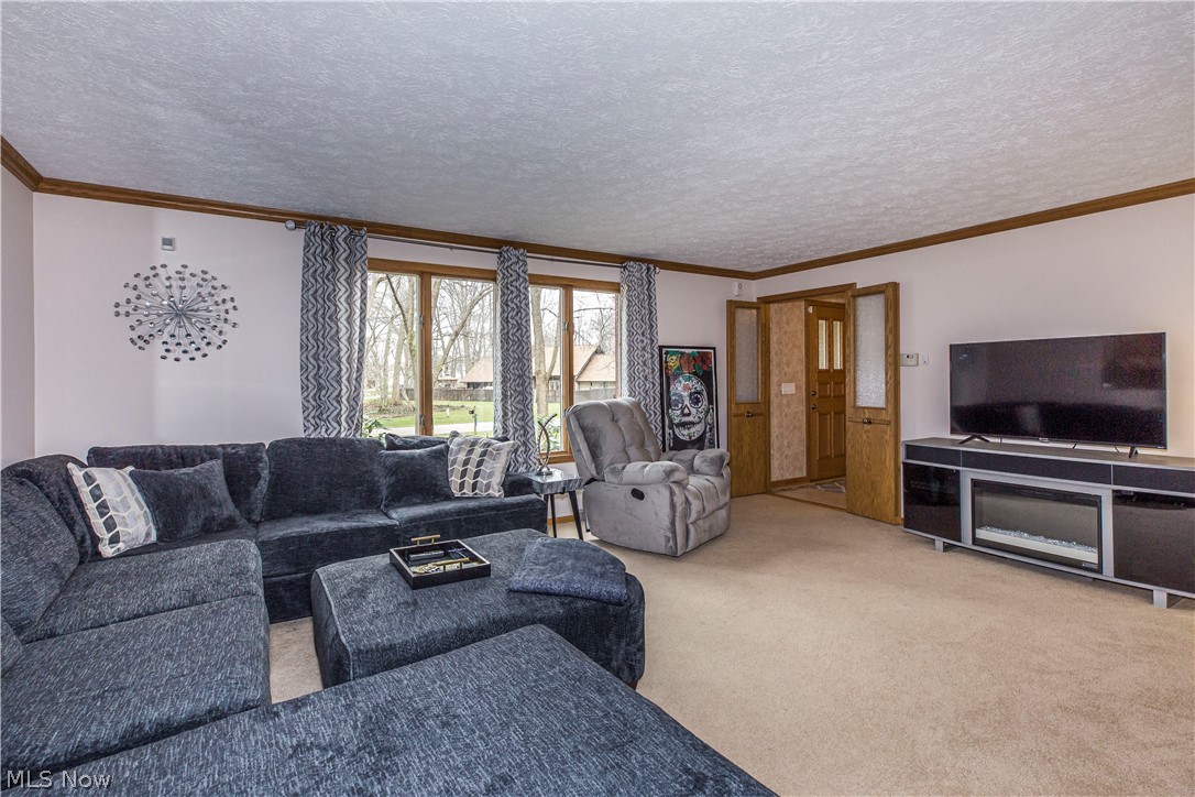 Wood Moor Allotment 03 - Residential