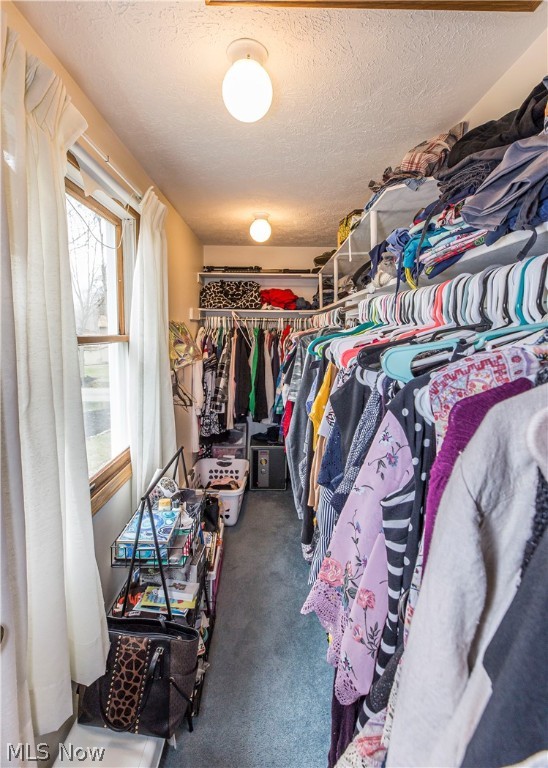 Wood Moor Allotment 03 - Residential