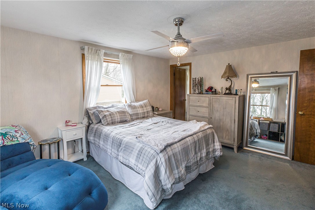 Wood Moor Allotment 03 - Residential