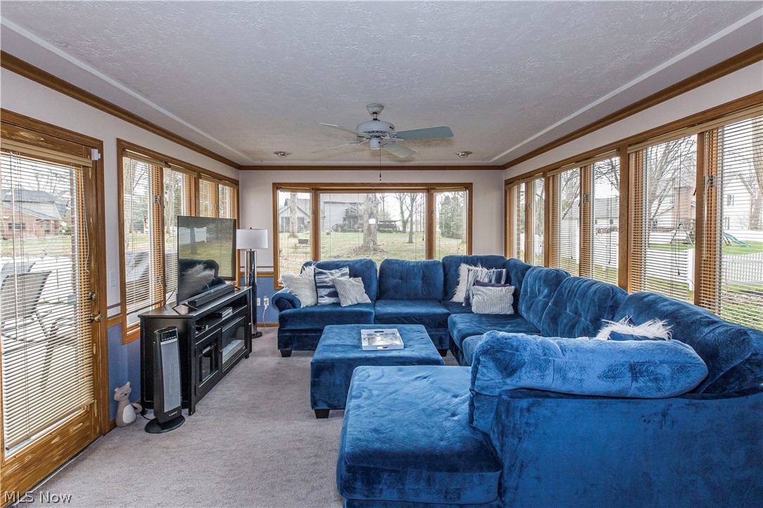 Wood Moor Allotment 03 - Residential