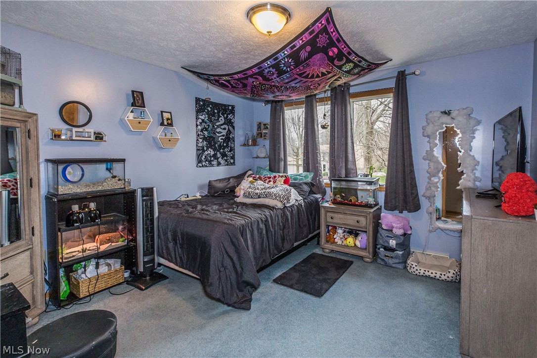 Wood Moor Allotment 03 - Residential