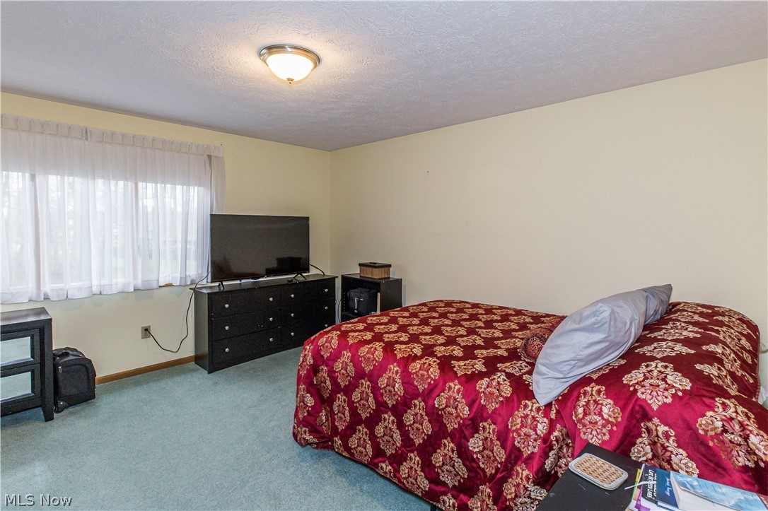 Wood Moor Allotment 03 - Residential