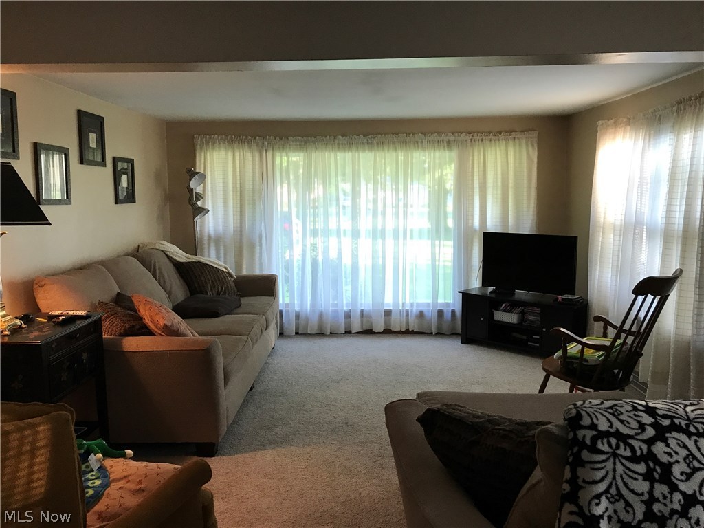 Township/Austintown Original S - Residential