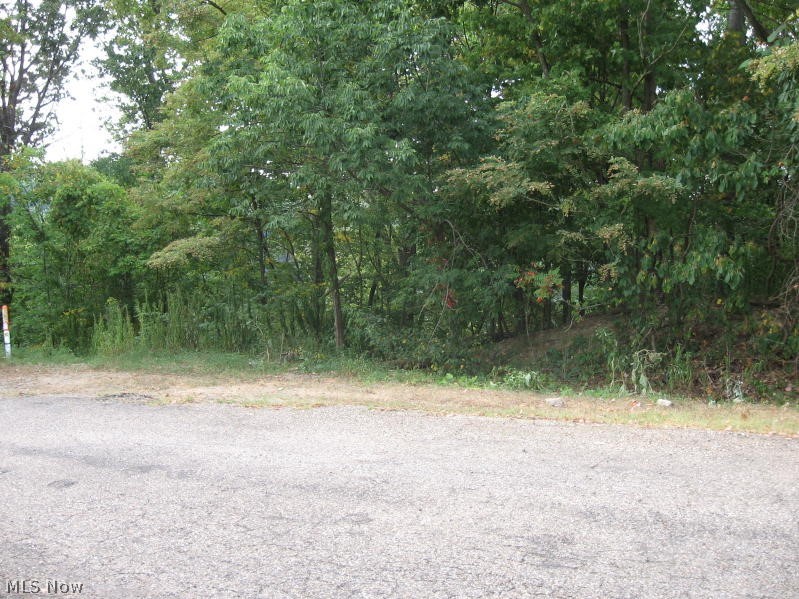 Gated community! Fantastic lot on dead end street. Enjoy the 500-acre lake with 3 beaches, playground,9 hope golf course and tennis courts. All buyers must attend an orientation at Lake Mohawk before closing and pay a onetime initiation fee of $1,000. (THIS PROPERTY DOES NOT SIT ON THE LAKE AND CAN NOT BE USED AS A SITE FOR CAMPERS OR TENTS!!!!!!!) Agent owned.