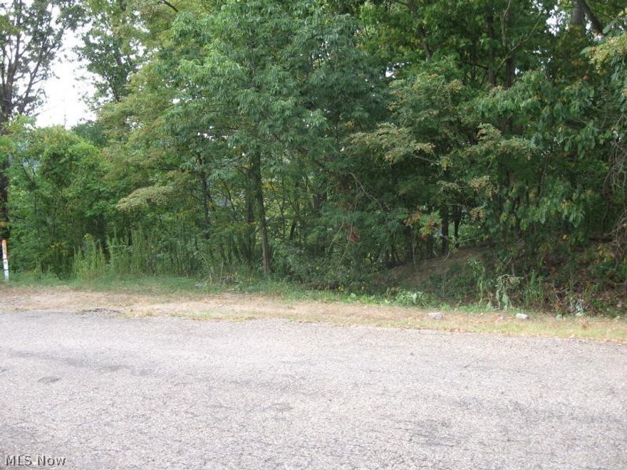 Gated community! Fantastic lot on dead end street. Enjoy the 500-acre lake with 3 beaches, playground,9 hope golf course and tennis courts. All buyers must attend an orientation at Lake Mohawk before closing and pay a onetime initiation fee of $1,000. (THIS PROPERTY DOES NOT SIT ON THE LAKE AND CAN NOT BE USED AS A SITE FOR CAMPERS OR TENTS!!!!!!!)  Agent owned.