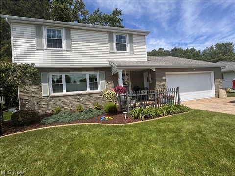 Homes For Sale - 934 Larkridge Avenue<br/> Youngstown, OH 44512