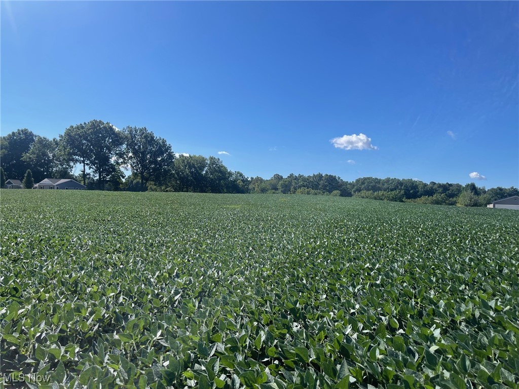 12.42 acres of land in Jackson Township and the Jackson Local School District. This property is located between the houses at 7524 and 7392 Strausser St. NW. Call agent to make arrangements to walk the land.