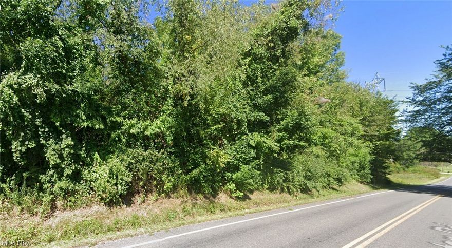 Introducing an exceptional opportunity to acquire not one, but TWO vacant, wooded lots located side by side. This unique offering provides you with double the space for your creative aspirations. These adjoining lots are the perfect canvas for your dream home or investment project. With two lots for the price of one, this is an unbeatable value proposition. Seize this rare chance to secure your slice of natural beauty and explore the endless possibilities that come with two contiguous lots. Contact us today to turn your vision into a reality.