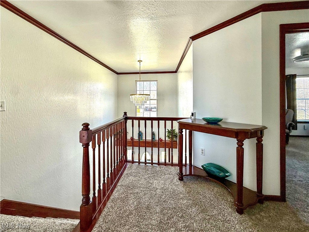 95 Cheyenne Drive, Girard, Ohio image 12