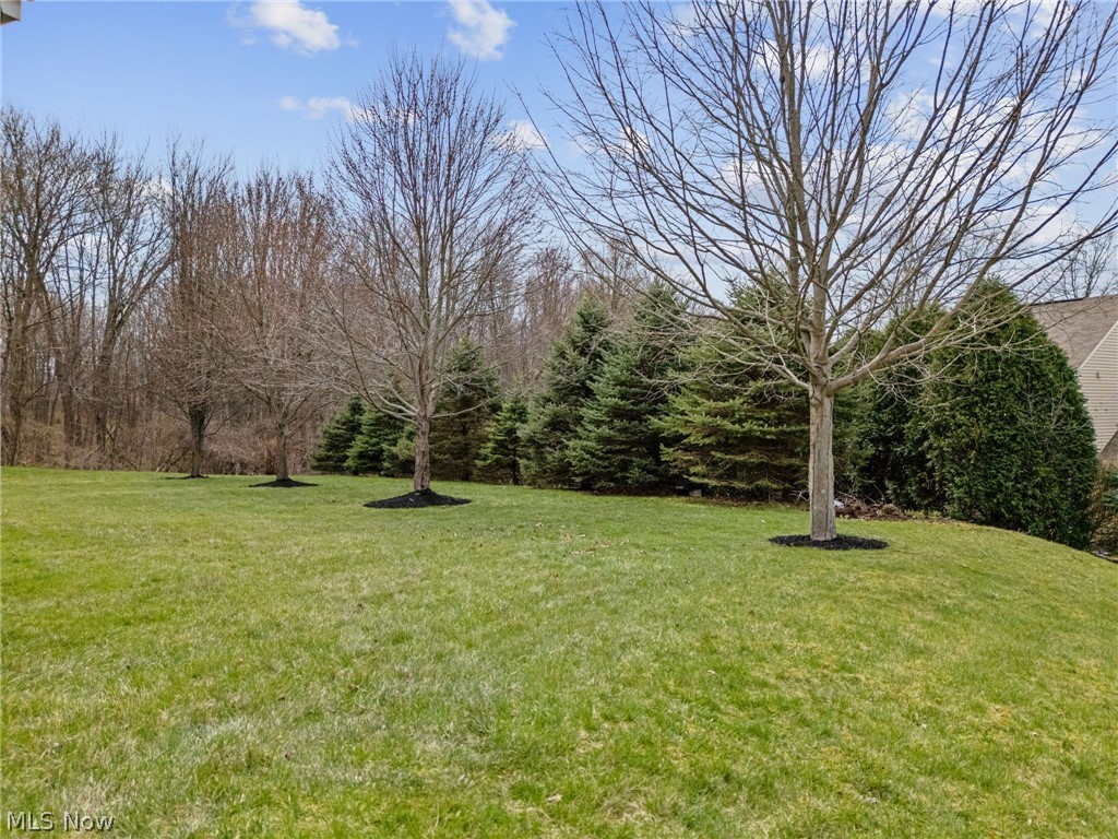 Hyde Park - Residential