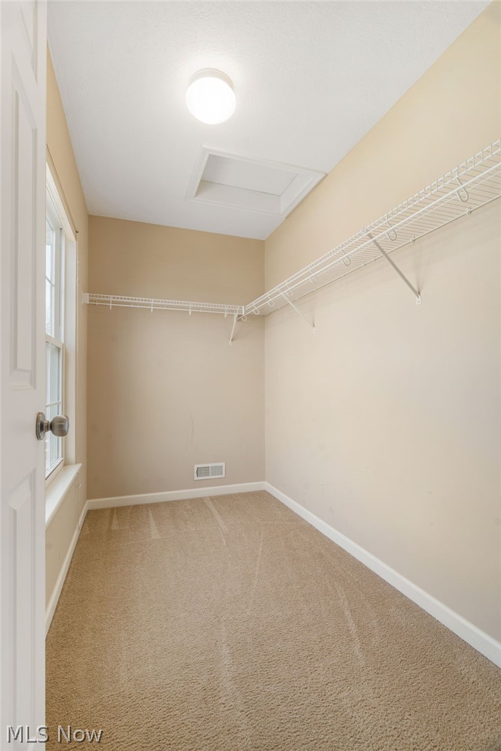 Hyde Park - Residential