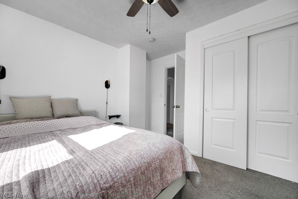 Cottage Grove Allotment - Residential