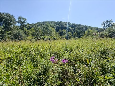 Tiny photo for 0 Brewer Road, Cadiz, OH 43907 (MLS # 5191786)