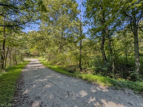 Tiny photo for 0 Brewer Road, Cadiz, OH 43907 (MLS # 5191786)