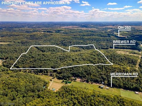 Vacant Land For Sale - Brewer Road<br/> Cadiz, OH 43907