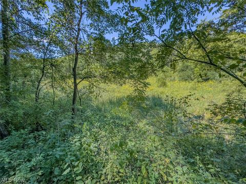 Tiny photo for 0 Brewer Road, Cadiz, OH 43907 (MLS # 5191786)