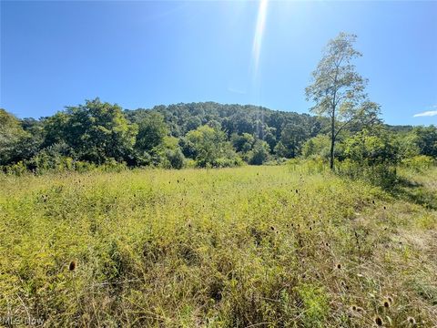 Tiny photo for 0 Brewer Road, Cadiz, OH 43907 (MLS # 5191786)