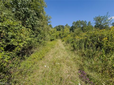 Tiny photo for 0 Brewer Road, Cadiz, OH 43907 (MLS # 5191786)