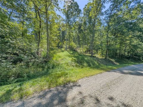 Tiny photo for 0 Brewer Road, Cadiz, OH 43907 (MLS # 5191786)