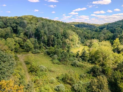 Tiny photo for 0 Brewer Road, Cadiz, OH 43907 (MLS # 5191786)