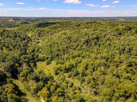 Tiny photo for 0 Brewer Road, Cadiz, OH 43907 (MLS # 5191786)