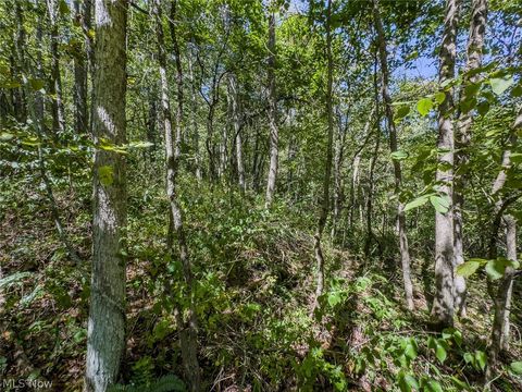 Tiny photo for 0 Brewer Road, Cadiz, OH 43907 (MLS # 5191786)