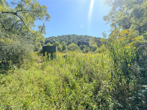 Tiny photo for 0 Brewer Road, Cadiz, OH 43907 (MLS # 5191786)