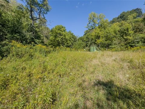 Tiny photo for 0 Brewer Road, Cadiz, OH 43907 (MLS # 5191786)