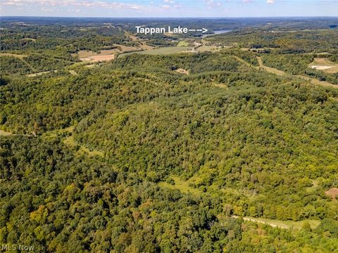 Tiny photo for 0 Brewer Road, Cadiz, OH 43907 (MLS # 5191786)