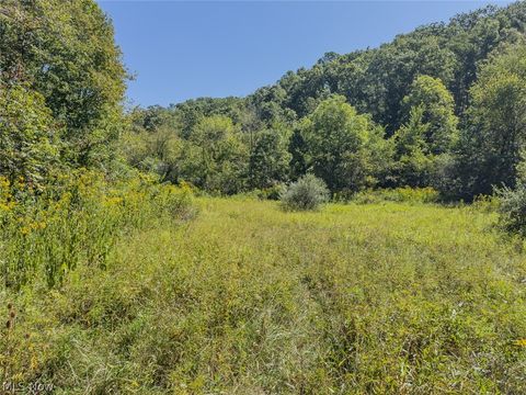 Tiny photo for 0 Brewer Road, Cadiz, OH 43907 (MLS # 5191786)