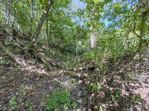 Tiny photo for 0 Brewer Road, Cadiz, OH 43907 (MLS # 5191786)