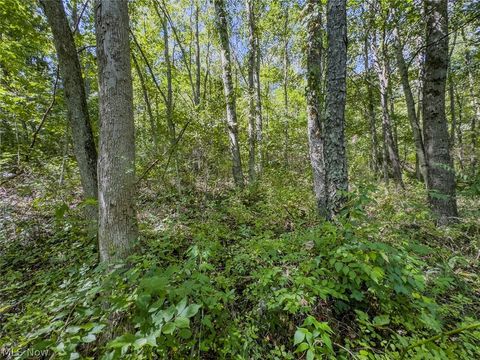 Tiny photo for 0 Brewer Road, Cadiz, OH 43907 (MLS # 5191786)