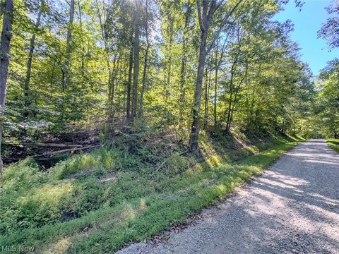 Tiny photo for 0 Brewer Road, Cadiz, OH 43907 (MLS # 5191786)