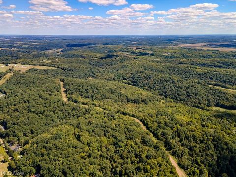 Tiny photo for 0 Brewer Road, Cadiz, OH 43907 (MLS # 5191786)