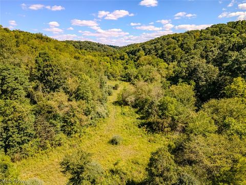 Tiny photo for 0 Brewer Road, Cadiz, OH 43907 (MLS # 5191786)