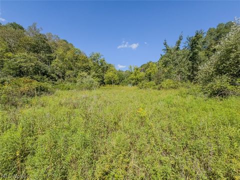 Tiny photo for 0 Brewer Road, Cadiz, OH 43907 (MLS # 5191786)