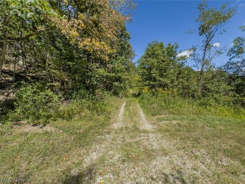 Tiny photo for 0 Brewer Road, Cadiz, OH 43907 (MLS # 5191786)