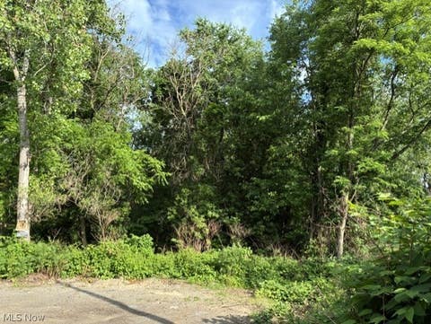 Vacant Land For Sale - Lane Street<br/> Weirton, WV 26062