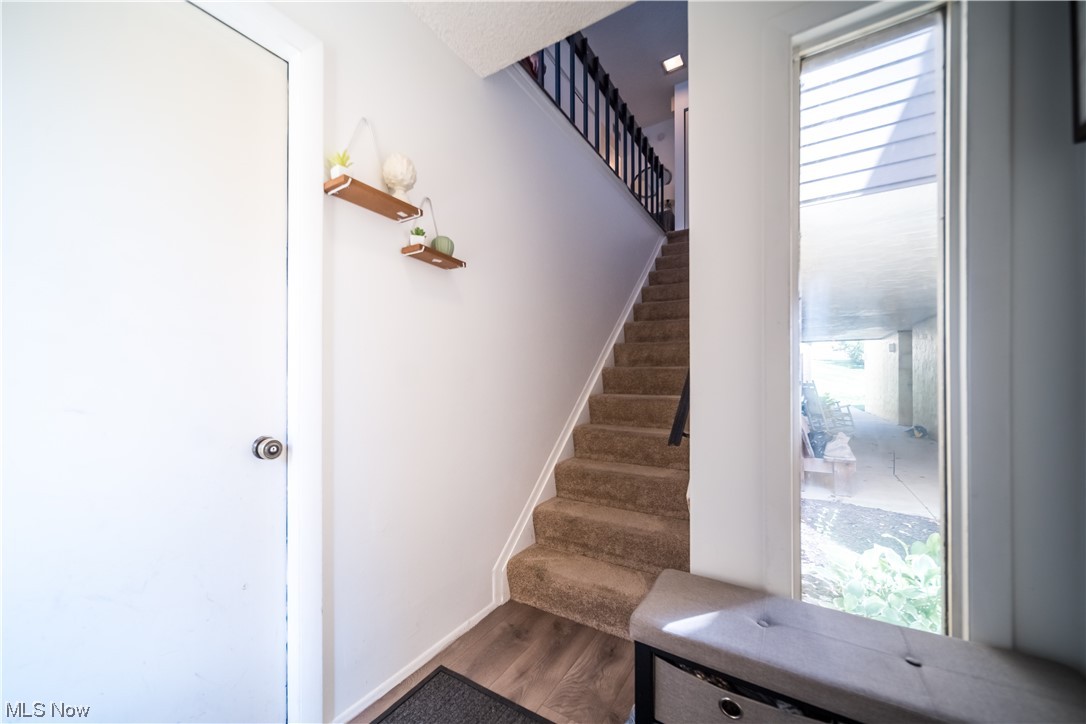 Hampton Woods - Residential