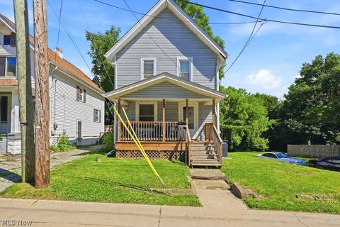 Homes For Sale - 417 Raasch Avenue<br/> Akron, OH 44307
