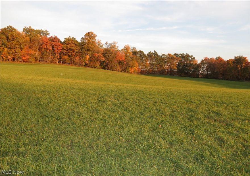 Perfect country building site.  11+ acres of well rounded land located in beautiful Ashland Co. A little woods with several acres of rolling grassland.  Site includes well, septic, electric, and driveway.