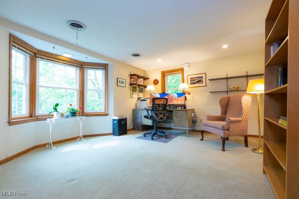 87 Locust Lane, Chagrin Falls, Ohio image 23