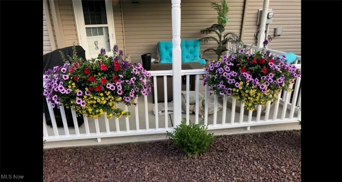 170 Sandy Court #11, New Middletown, Ohio image 5