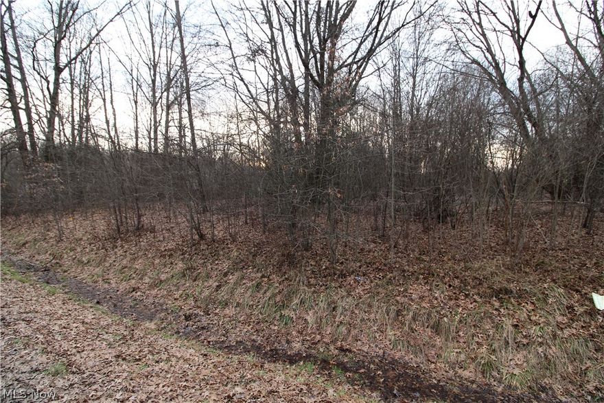 Great Buildable Lot #108 in the Heart of Orwell! Adjacent to another lot #107 for sale (you could combine to make larger property) Bring your home plans or buy & build later! Public Utilities at road-Leffingwell Estates