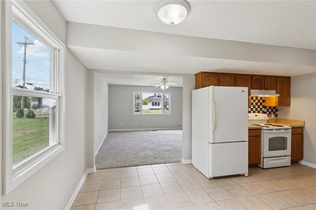 City/Painesville 03 - Residential