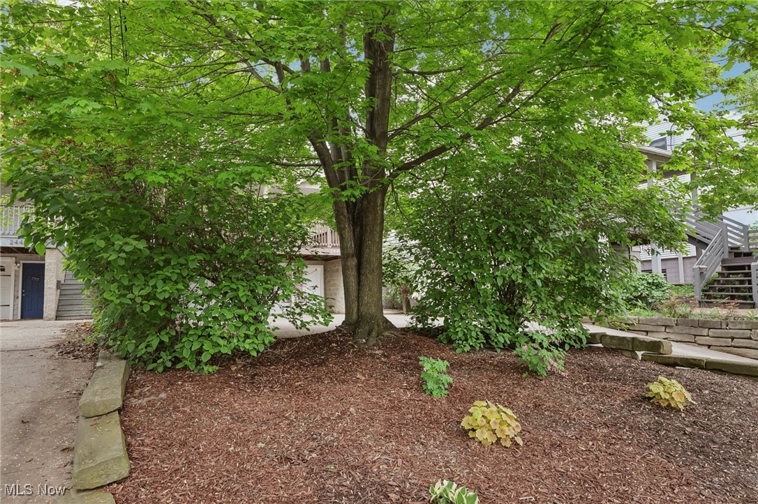 2444 W 7th Street, Cleveland, Ohio image 43